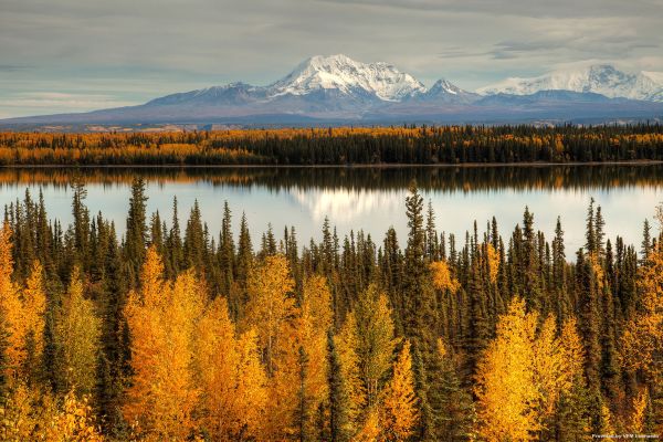 Hotel Sophie Station Suites (Fairbanks)